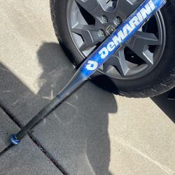 Baseball Bat