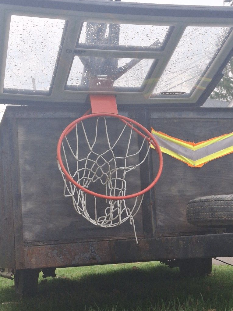 Basketball who