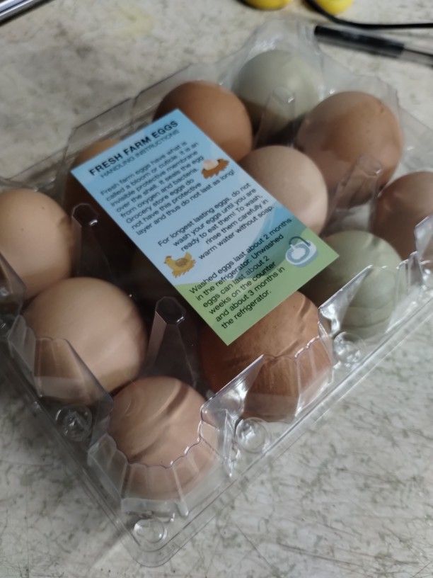 Fresh Eggs