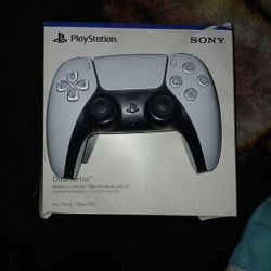 Ps5 Controller 