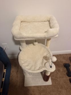 New cat tree