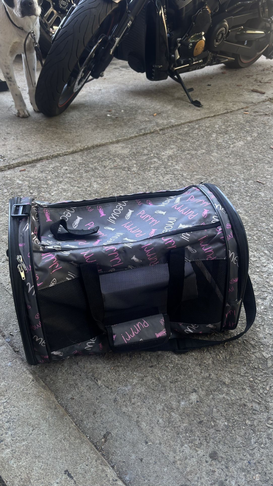 Cat Kitten Small Dog Travel Package