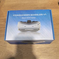 AOMWAY Commander Goggles v1 Modular FPV Headset