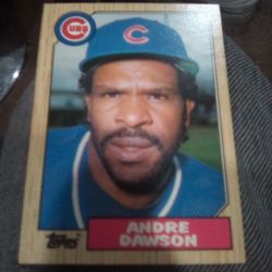 Andre Dawson Baseball Card