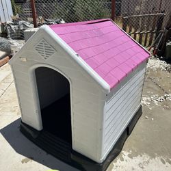 Dog House