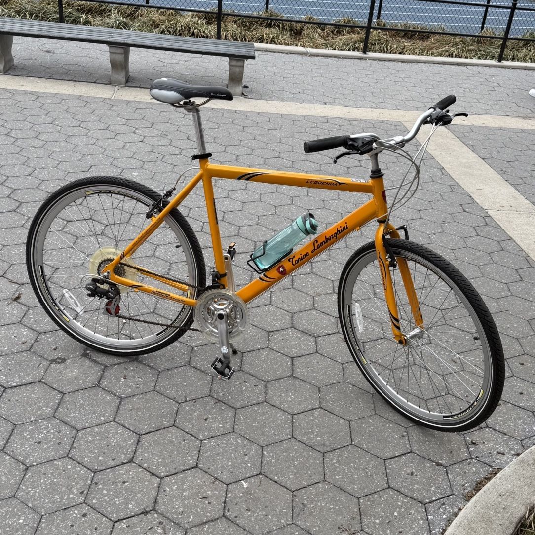 Tonino Lamborghini Road Bike for Sale in Queens, NY - OfferUp