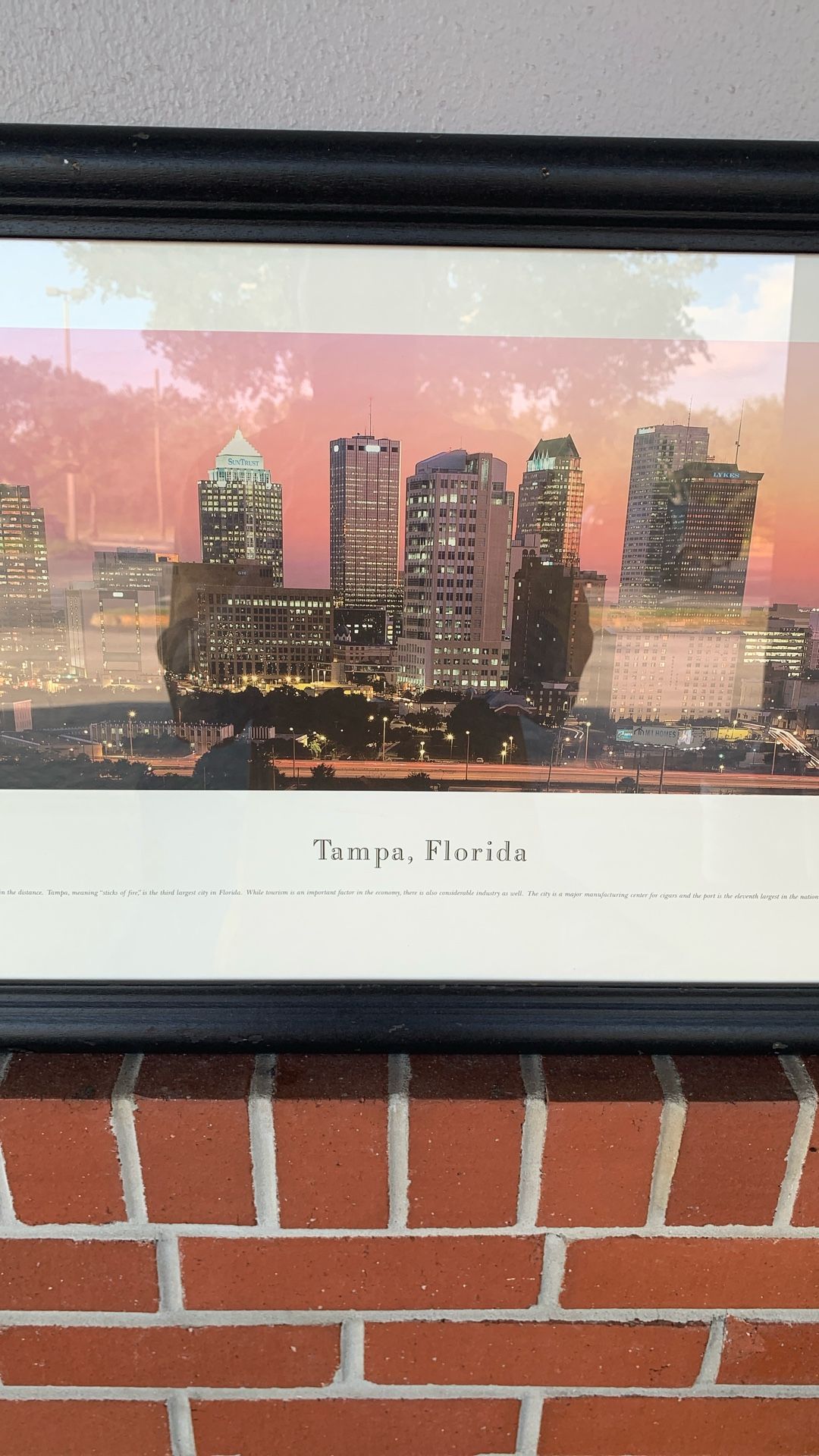 Tampa Panorama View