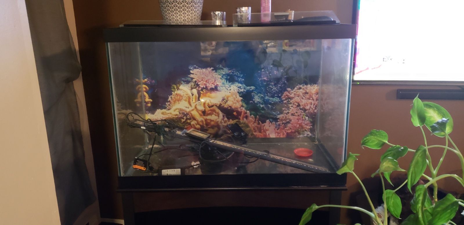 75 Gallon Aquarium