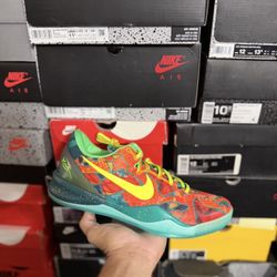 DS 2025 Kobe 8 Protro WT size 11