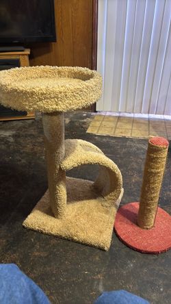 Cat tower and scratcher
