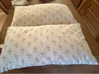 2 - “My Pillow” King Size Pillows With Zippered Protectors
