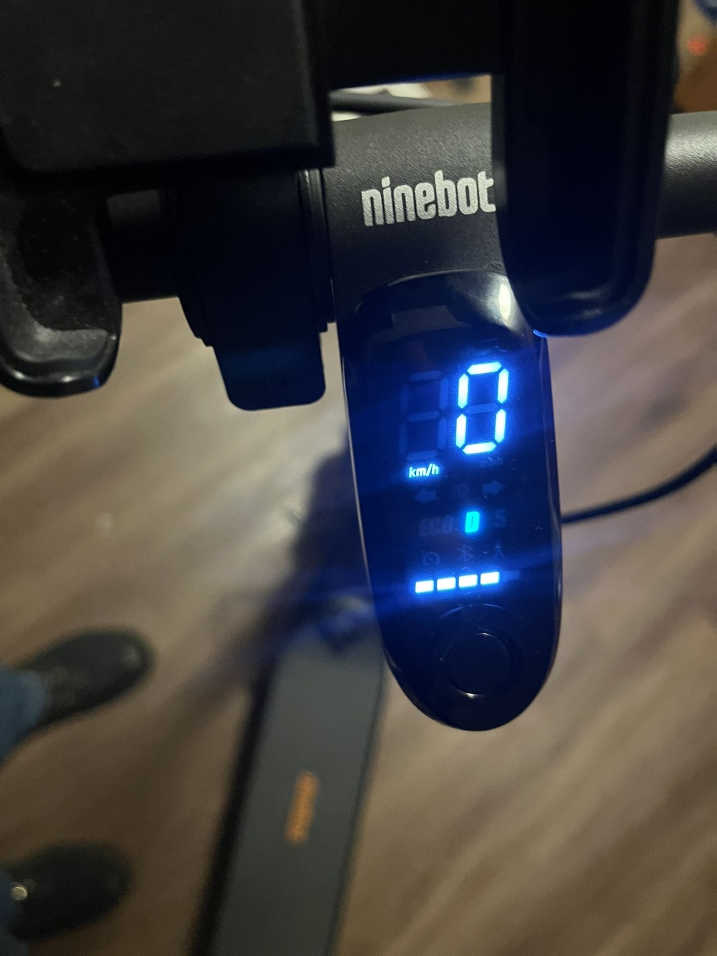 Ninebot Electric Scooter