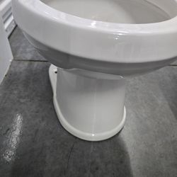 Toilet Bowl