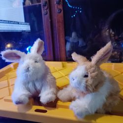 Furreal Bunny S  15.00 Each