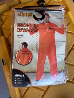 Halloween Costume