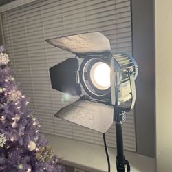 Arri Fresnel 300 - Pro Video Light