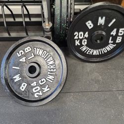 Olympic Plates Gym Weights 45s Lifetime Warranty $100 Pair Firm Price 