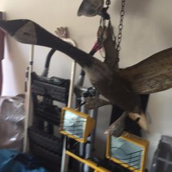 Craft Fish And  Goose