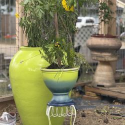 Jumbo Planter Ceramic Glazed Lime Green With Plant