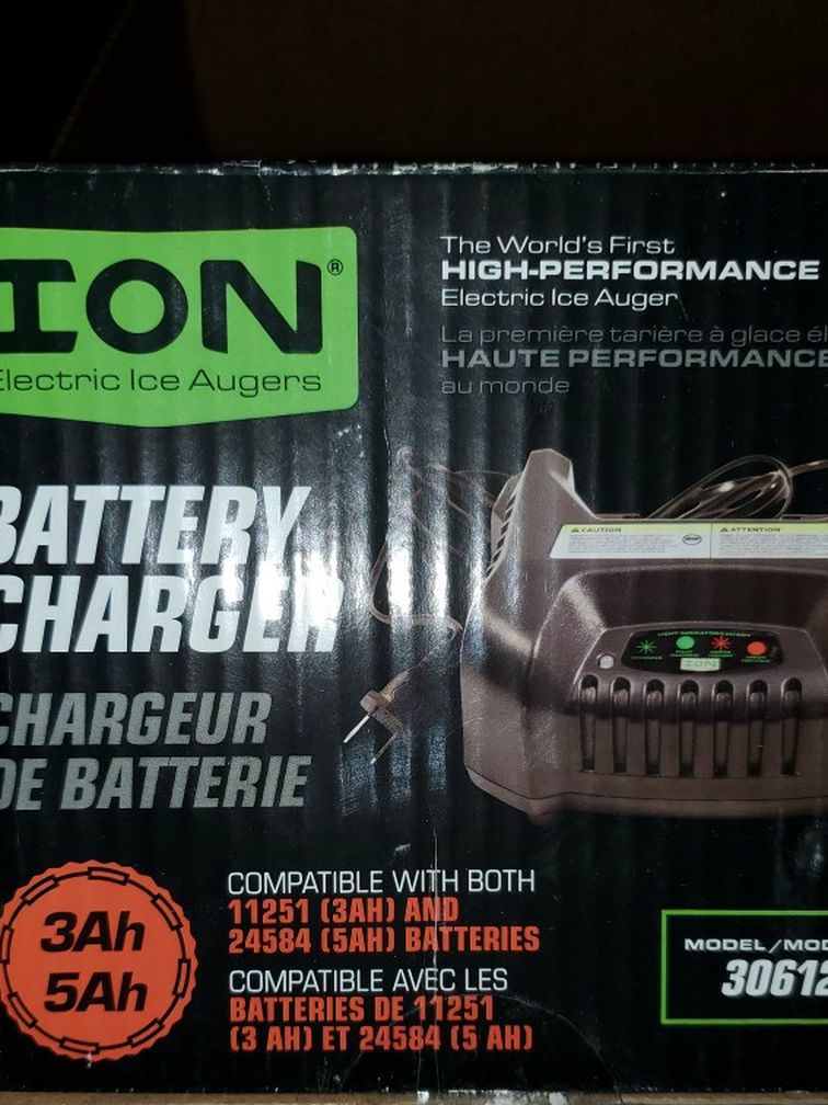 Ion Electric Battery Charger