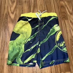 Boys Swim Trunks 
