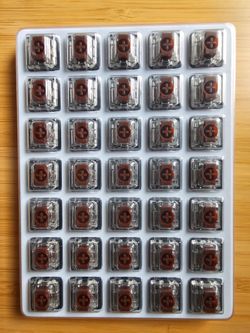 35  gateron brown low profile switches