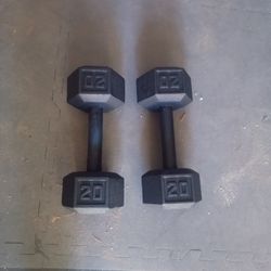 Hex Cast Iron Dumbbell.