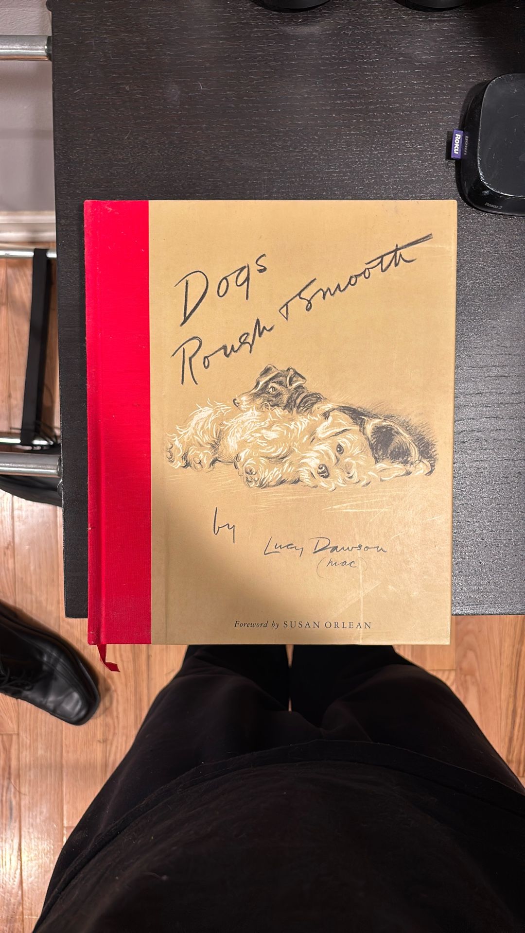 Dogs Rough And Smooth By Lucy Dawson