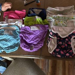 Reusable Female Diapers 
