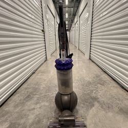 Dyson ball Animal Origin