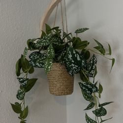 Artificial Hanging Plant