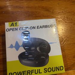 Bluetooth Earbuds