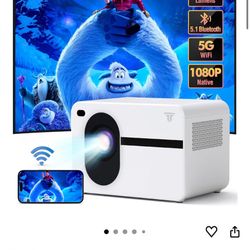 Video Projector