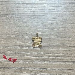 14k Diploma Pendant 