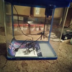 Fish Tank