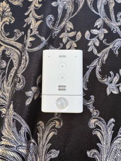 Alexa Echo Flex