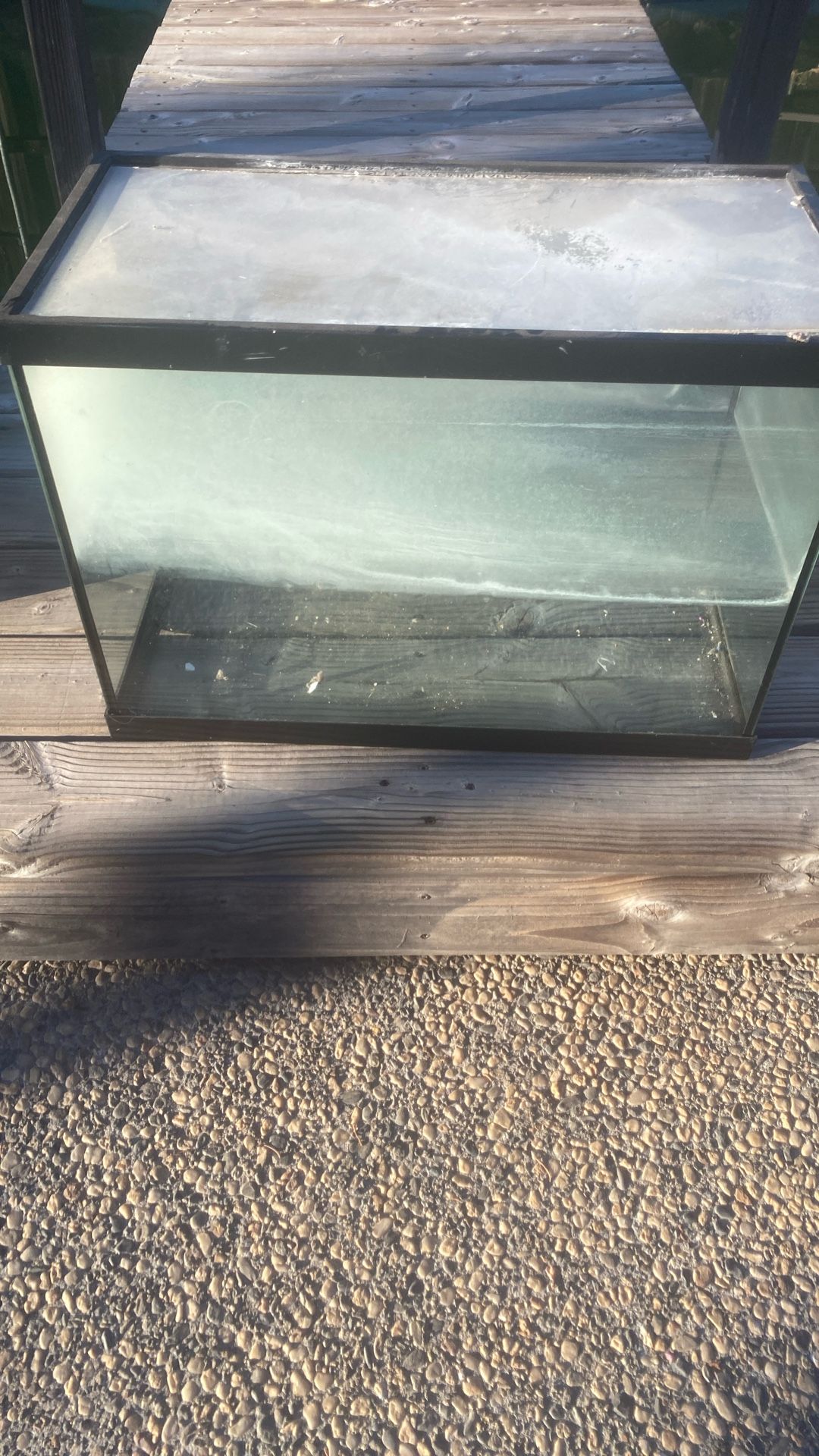 Decently Big Fish Tank