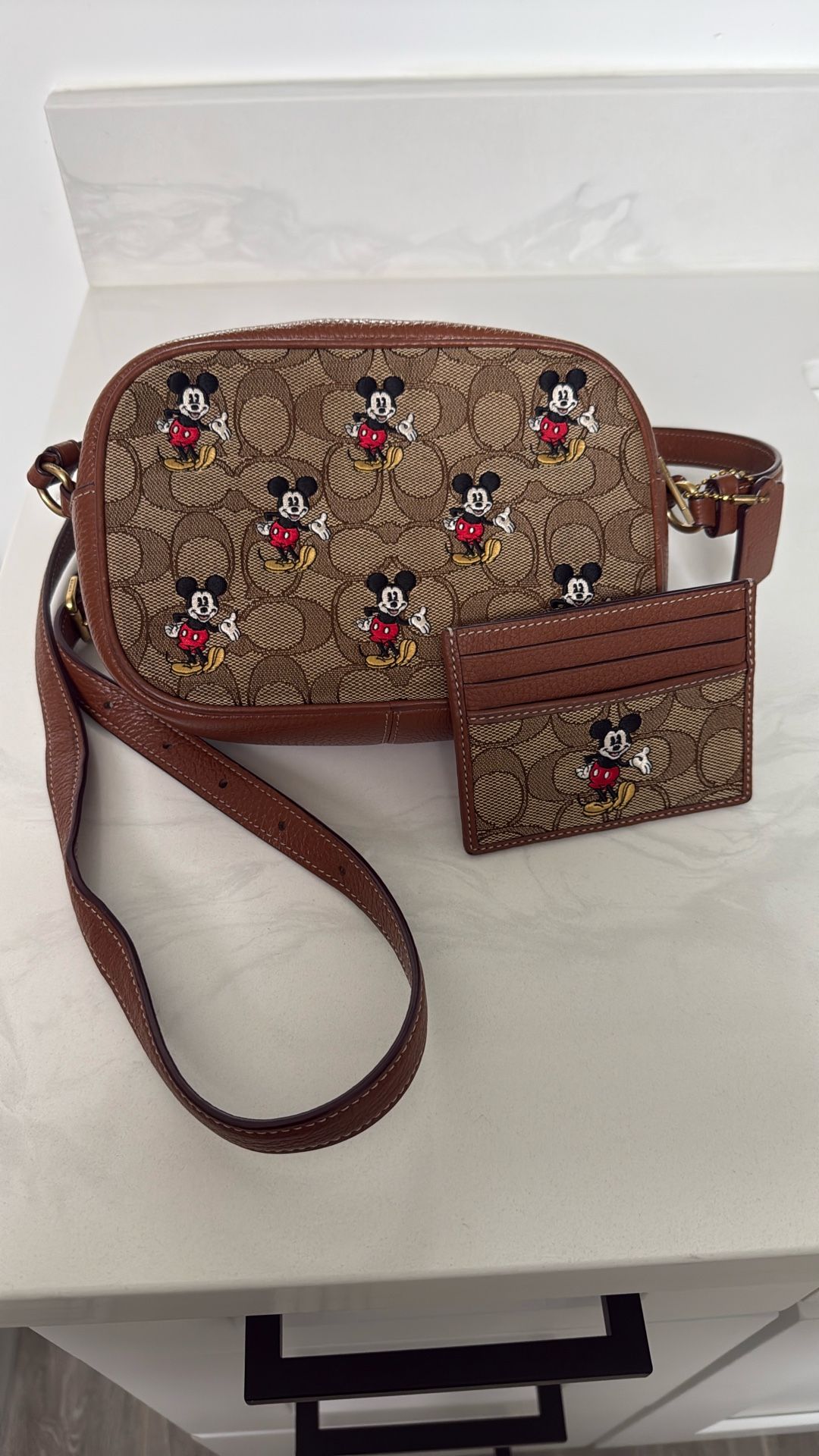 Used Coach Purse Mickey Mouse And Wallet $60