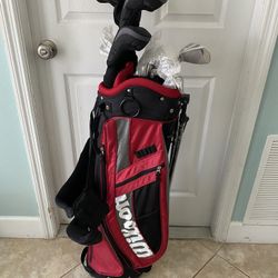 NEW Wilson Golf Club Set High Moi Profile 431ss 5-9 Pitching and Sand Wedge Putter Driver 3w 4h