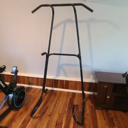 Pull Up And Dip Station