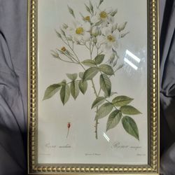 Framed Floral Wall Art 