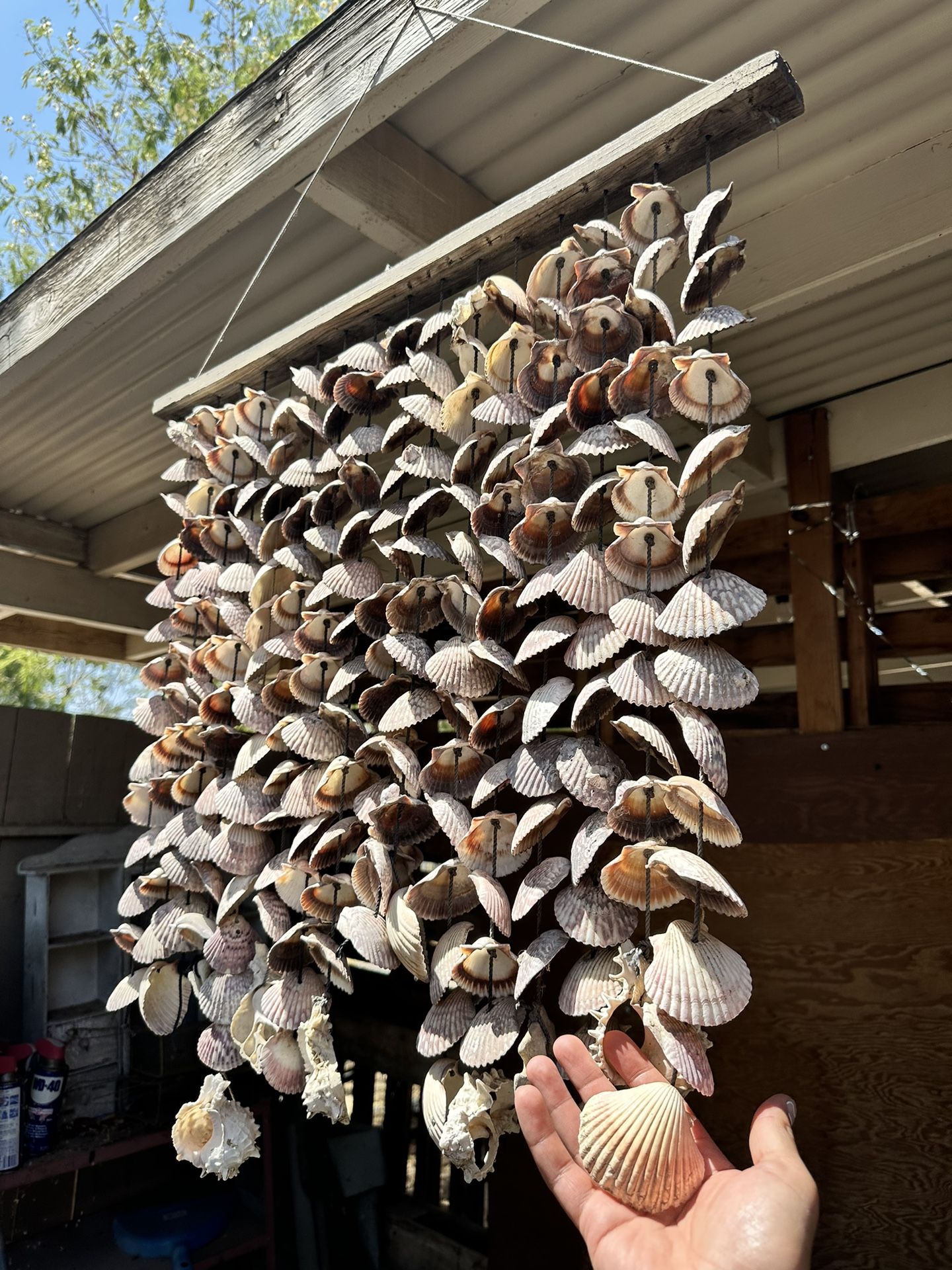 Shell Wind Chimes Decor