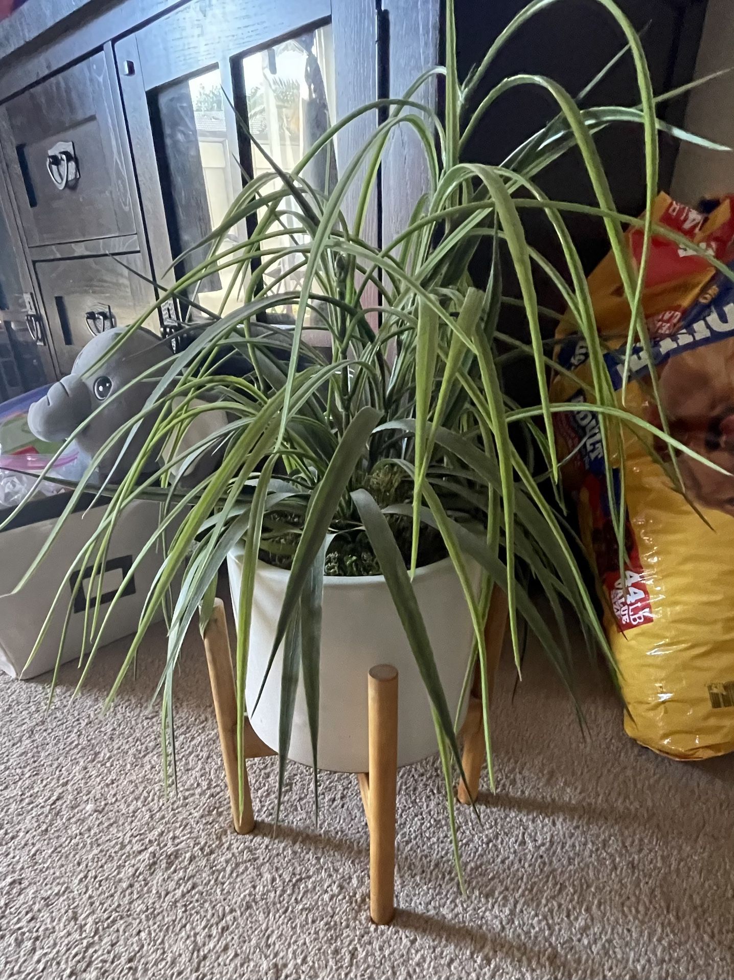 Fake Plant