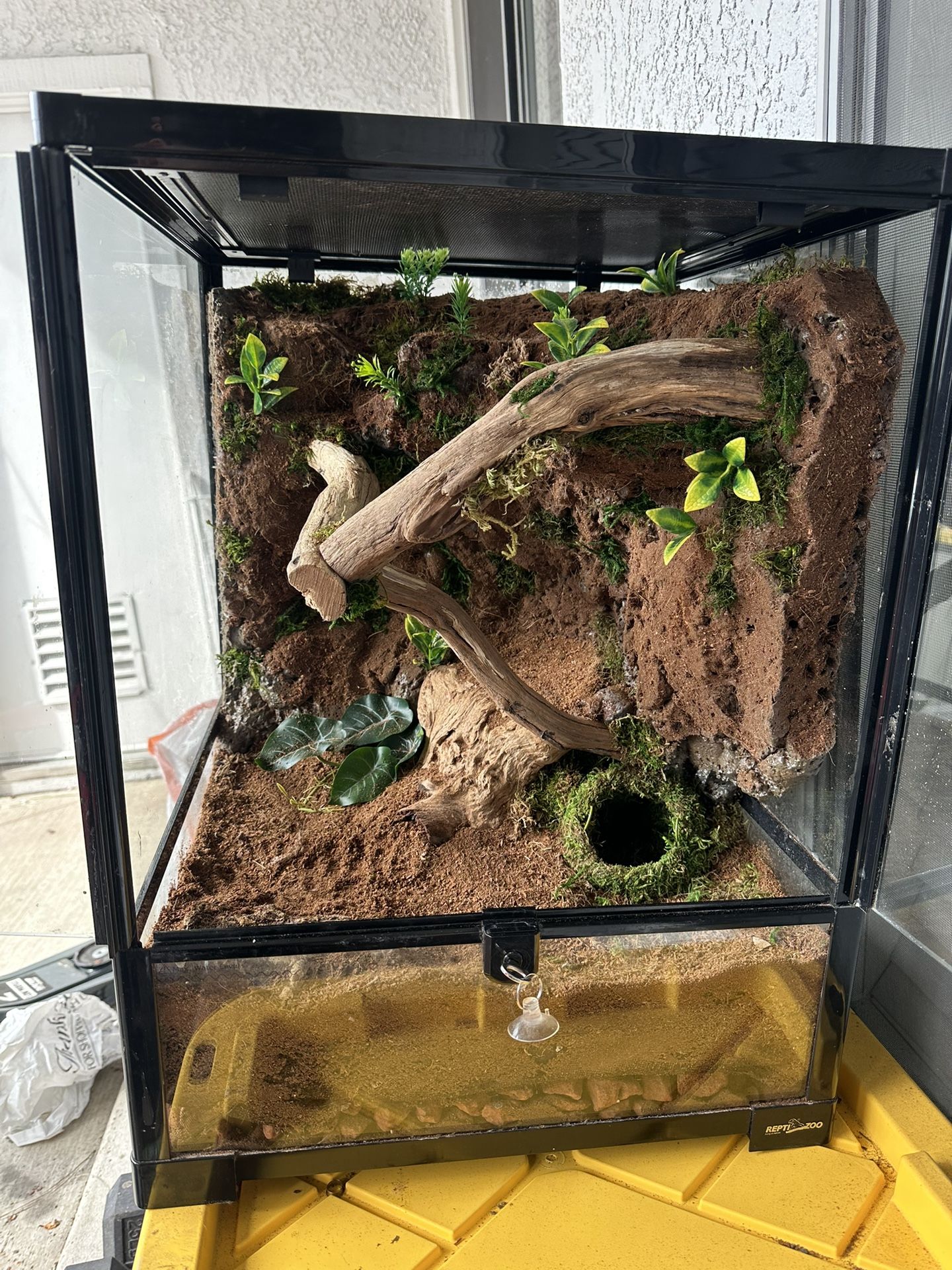 Lizard Tank 
