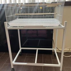 Birds Cage 
