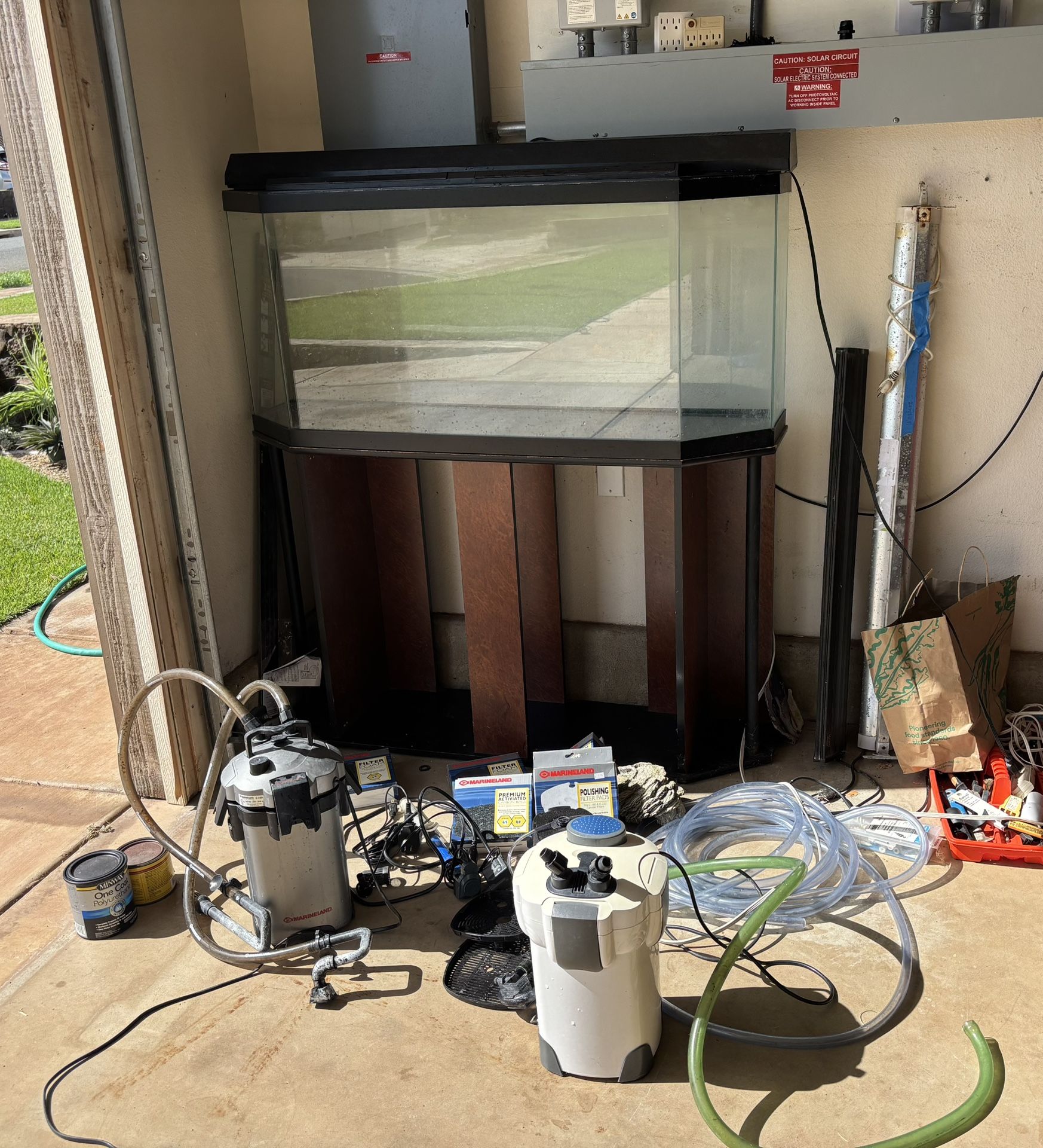 Fish Tank Set Up