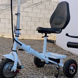 Electric Foldable Scooter 