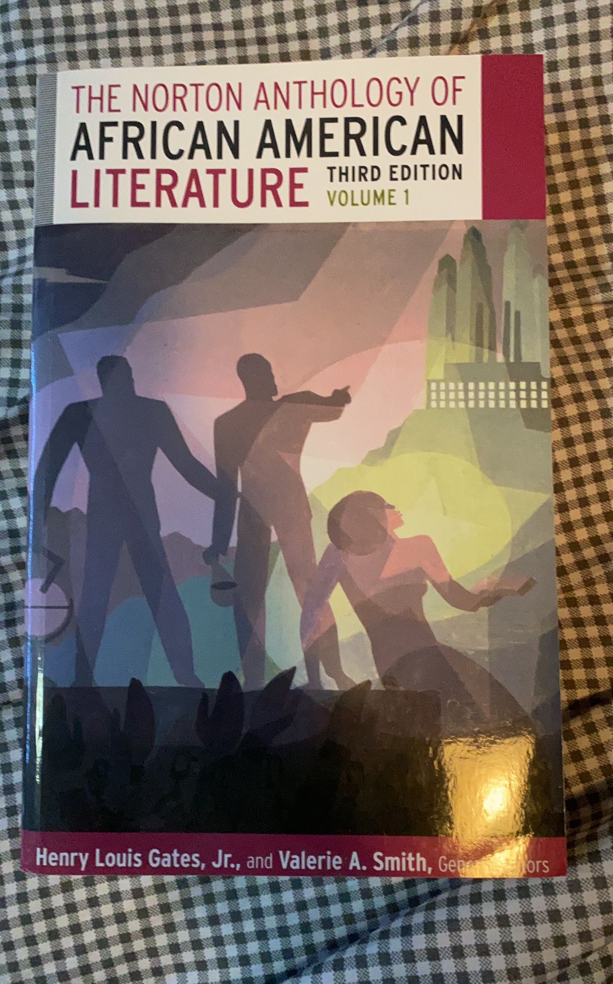 The Norton Anthology of African American Literature Third Edition Volume 1