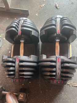 Bowflex Dumbbell weights weights 1090