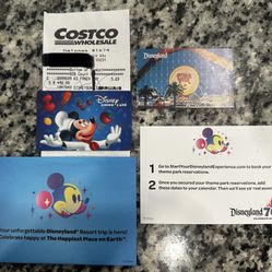 3-Day Disneyland Park Hopper Ticket with Lightning Lane Multi Pass